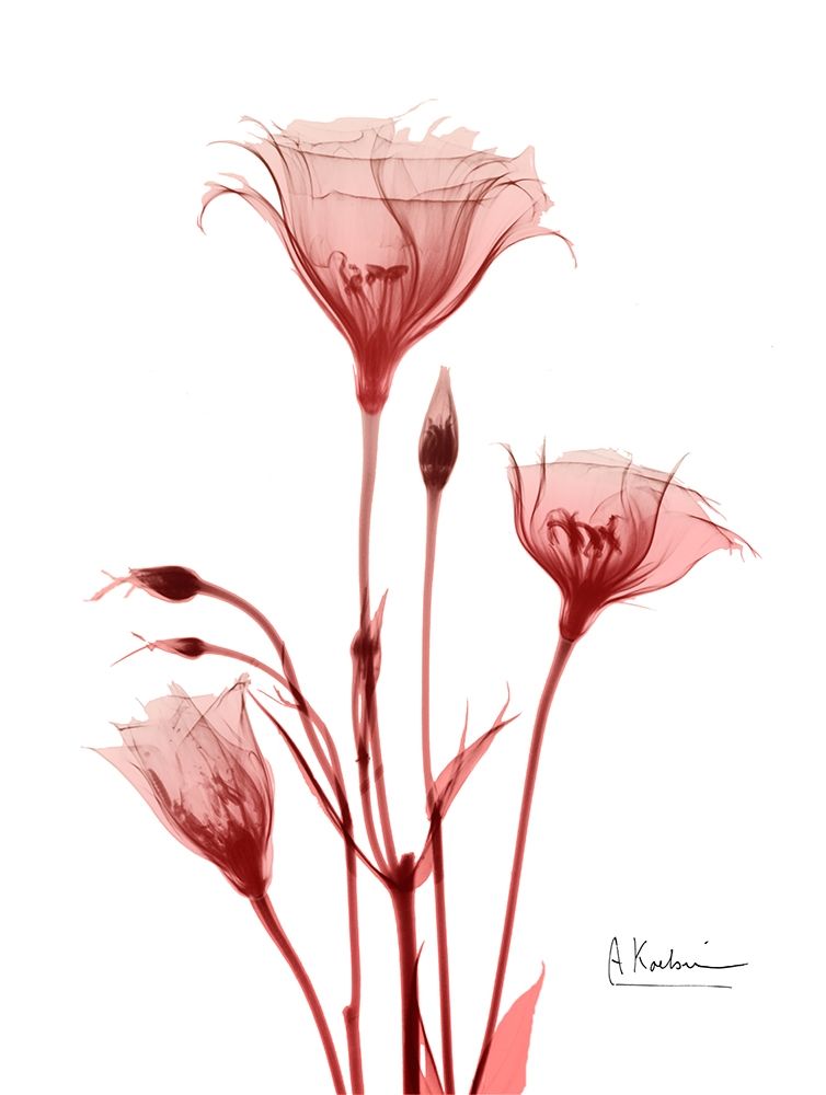 Marvelous Gentian 2 art print by Albert Koetsier for $57.95 CAD