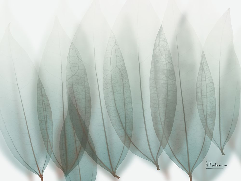 Unfocused Divergent 1 art print by Albert Koetsier for $57.95 CAD