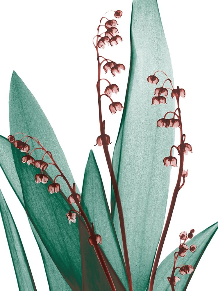 Elegance Blush 1 art print by Albert Koetsier for $57.95 CAD