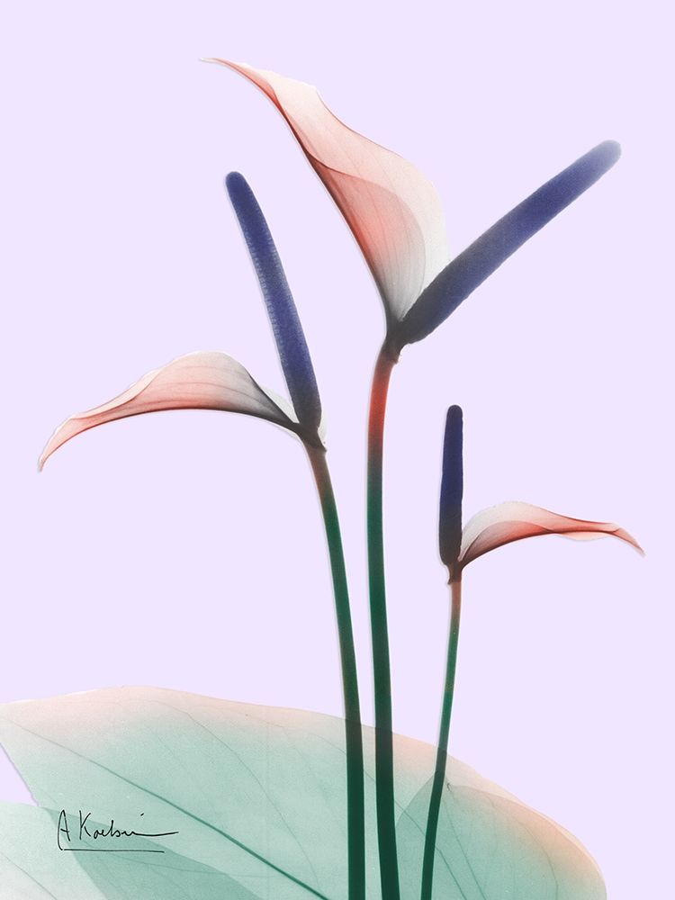 Flamingo Delight 1 art print by Albert Koetsier for $57.95 CAD