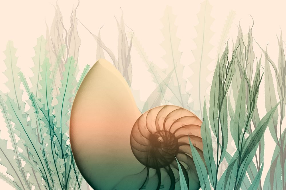 Underwater Dawn 1 art print by Albert Koetsier for $57.95 CAD