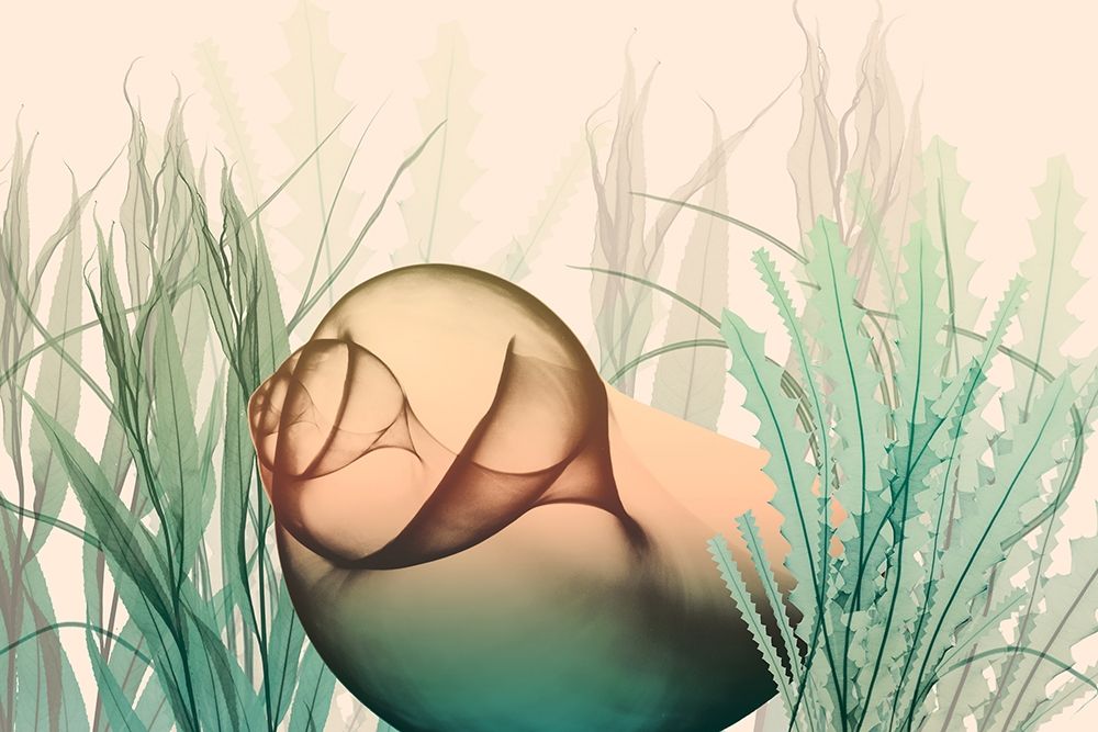 Underwater Dawn 2 art print by Albert Koetsier for $57.95 CAD