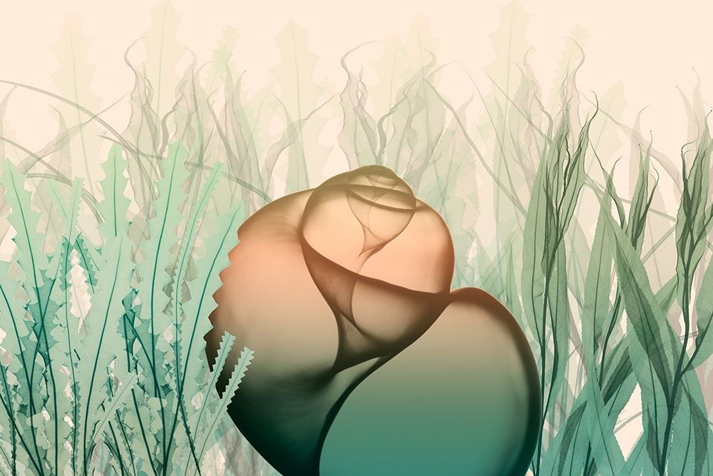 Underwater Dawn 3 art print by Albert Koetsier for $57.95 CAD