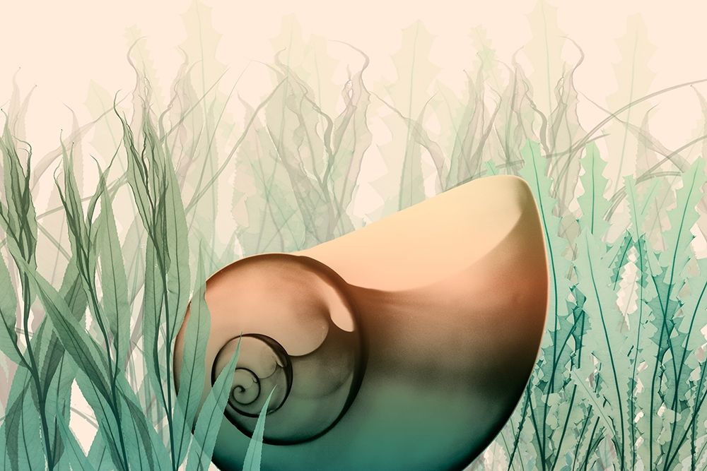Underwater Dawn 4 art print by Albert Koetsier for $57.95 CAD