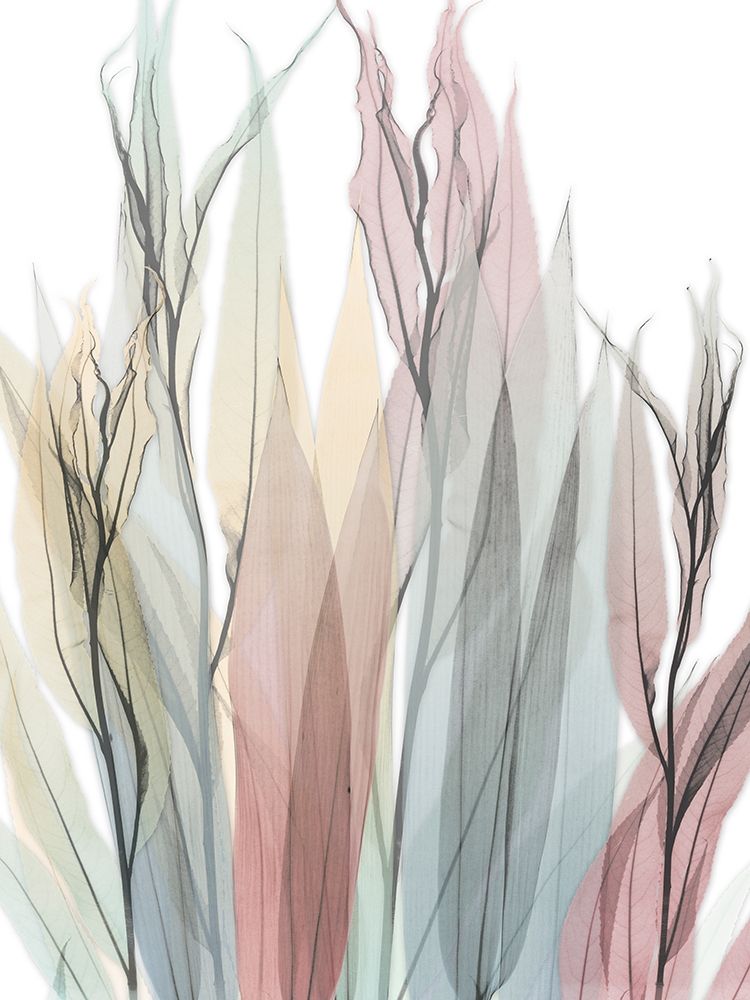 Neutral Degrees art print by Albert Koetsier for $57.95 CAD