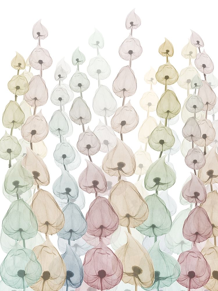 Neutral Forest 1 art print by Albert Koetsier for $57.95 CAD