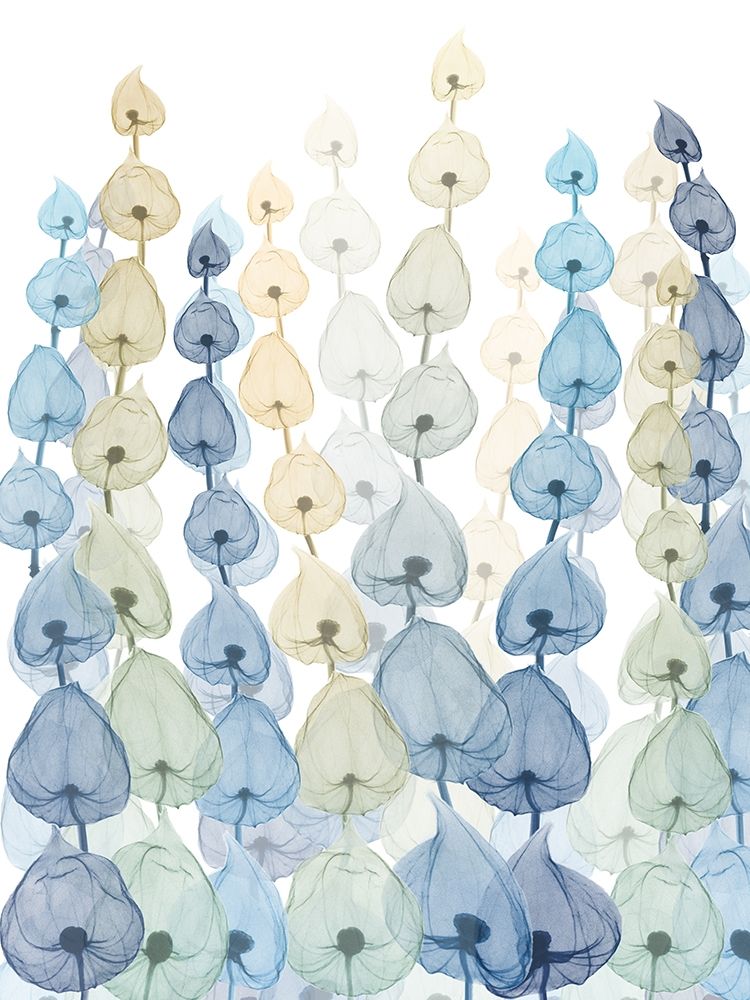 Lantern Forest art print by Albert Koetsier for $57.95 CAD
