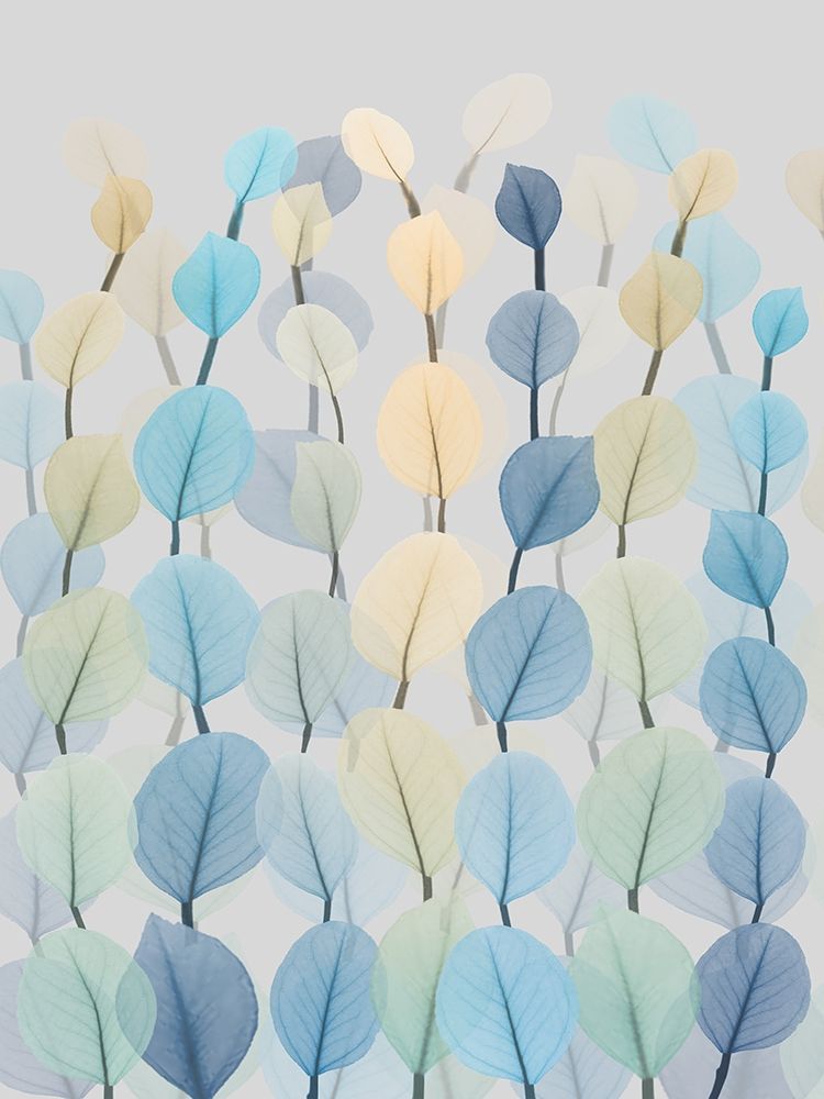 Lantern Forest 4 art print by Albert Koetsier for $57.95 CAD
