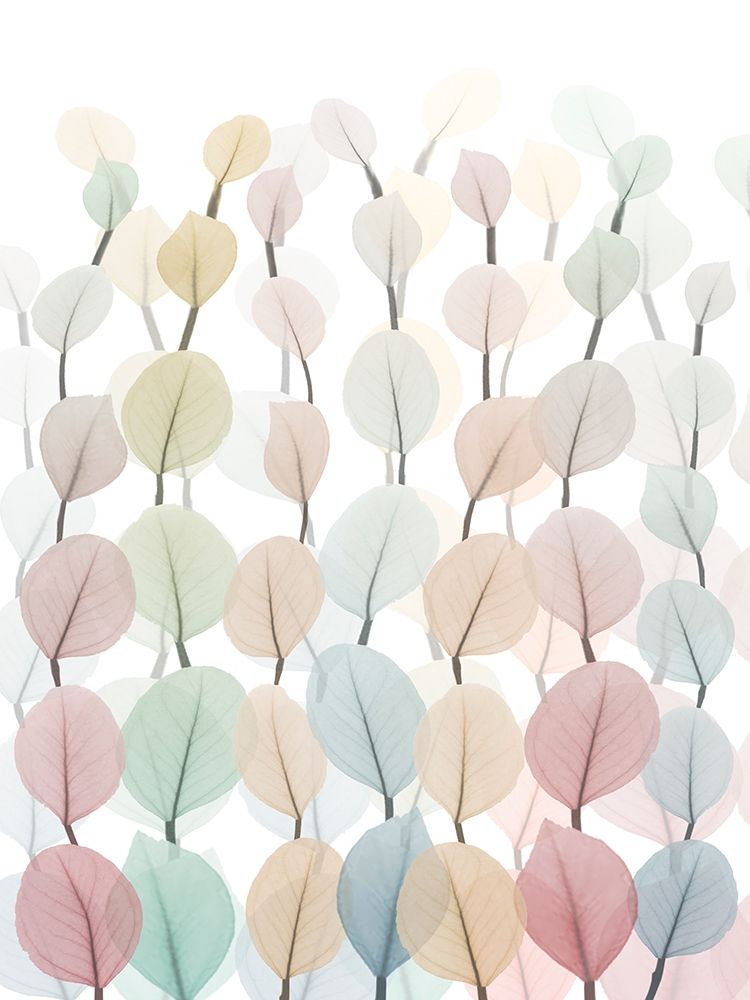 Neutral Forest 2 art print by Albert Koetsier for $57.95 CAD