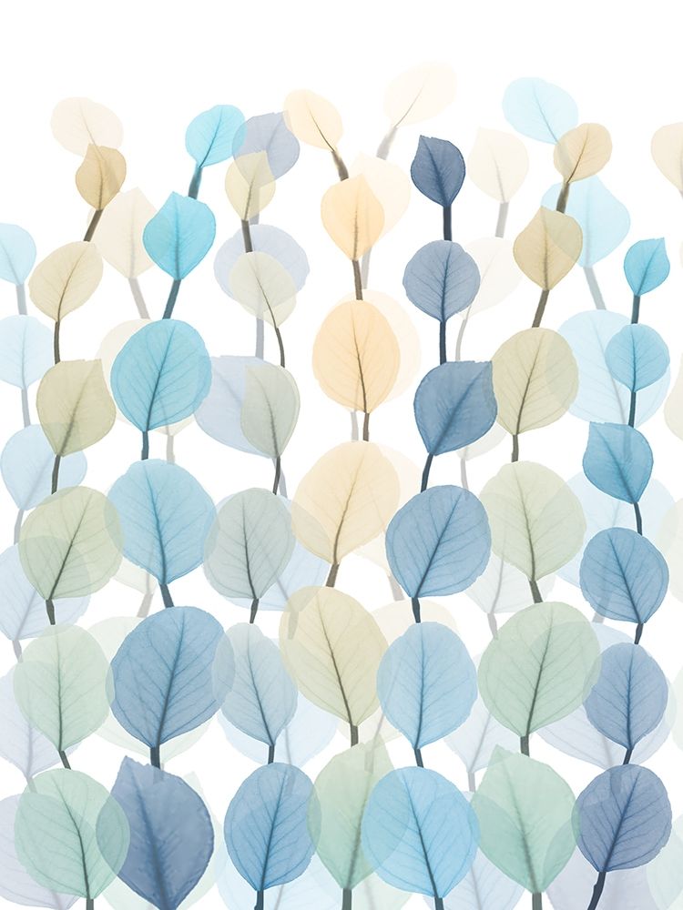 Lantern Forest 2 art print by Albert Koetsier for $57.95 CAD