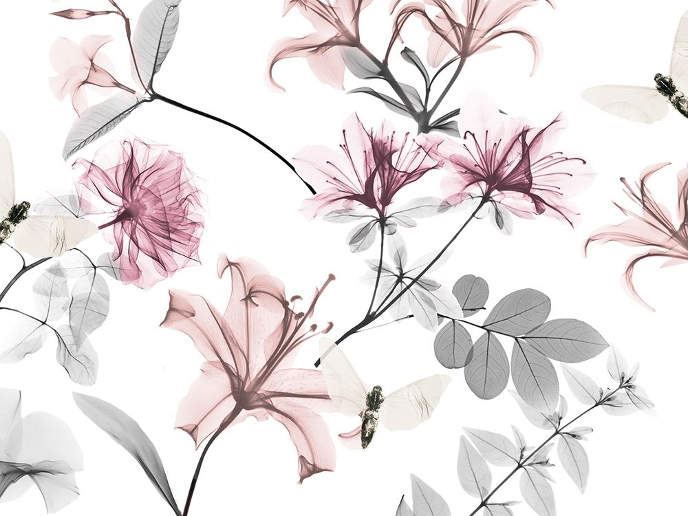 Sweet Nectar 1 art print by Albert Koetsier for $57.95 CAD