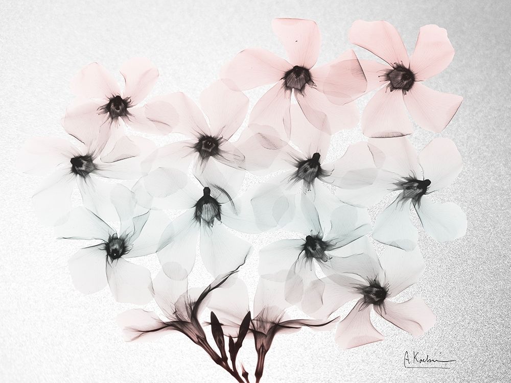 Oleander Fantasy 2 art print by Albert Koetsier for $57.95 CAD