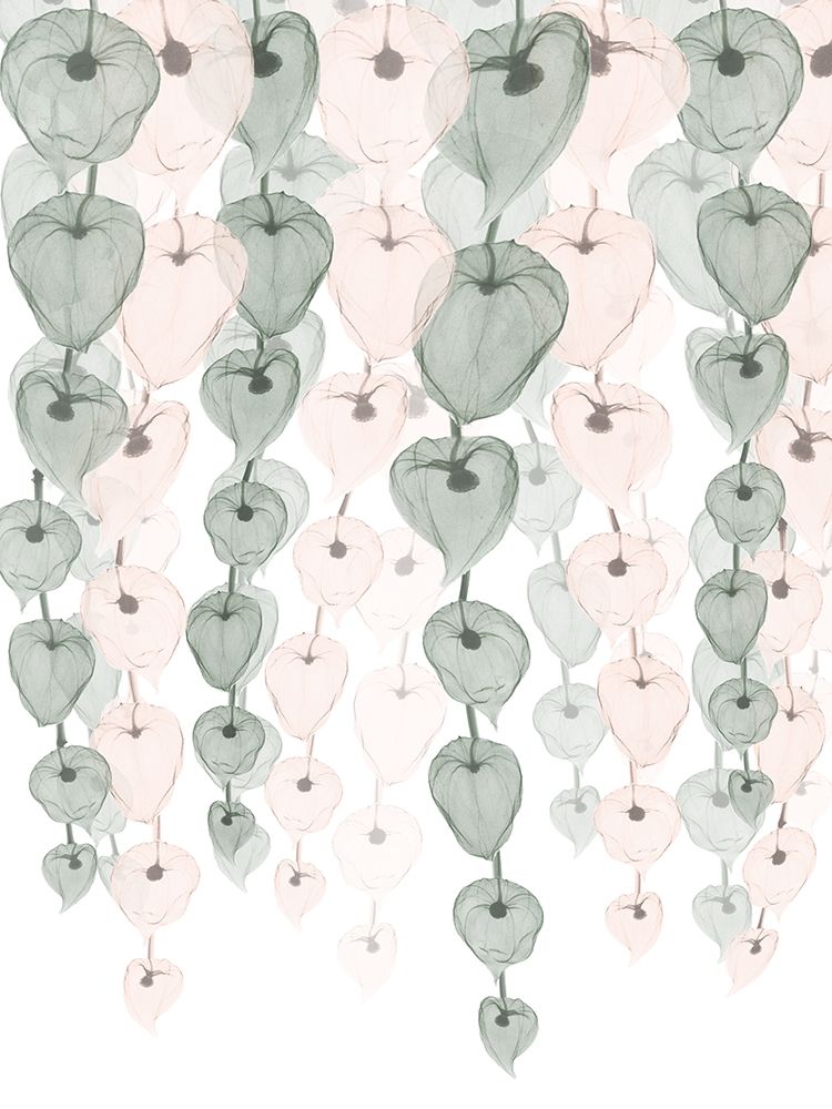 Lantern Blush Cascade 1 art print by Albert Koetsier for $57.95 CAD