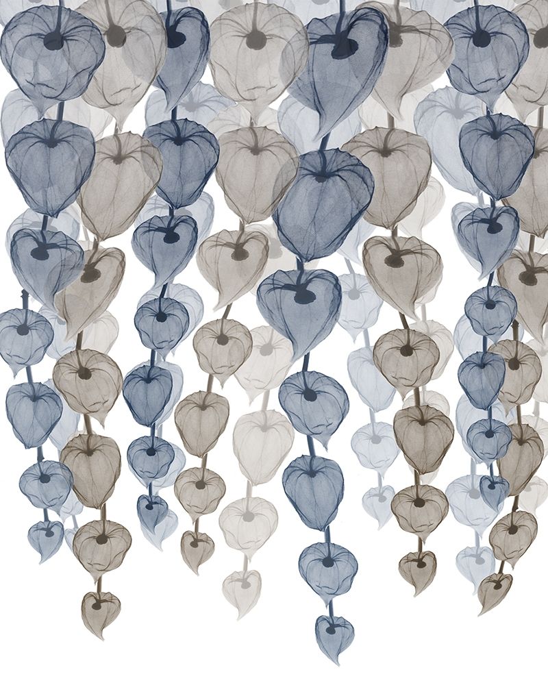 Natural Lantern Cascade 1 art print by Albert Koetsier for $57.95 CAD