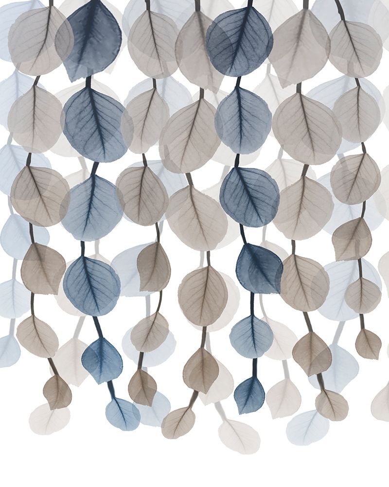 Natural Lantern Cascade 2 art print by Albert Koetsier for $57.95 CAD