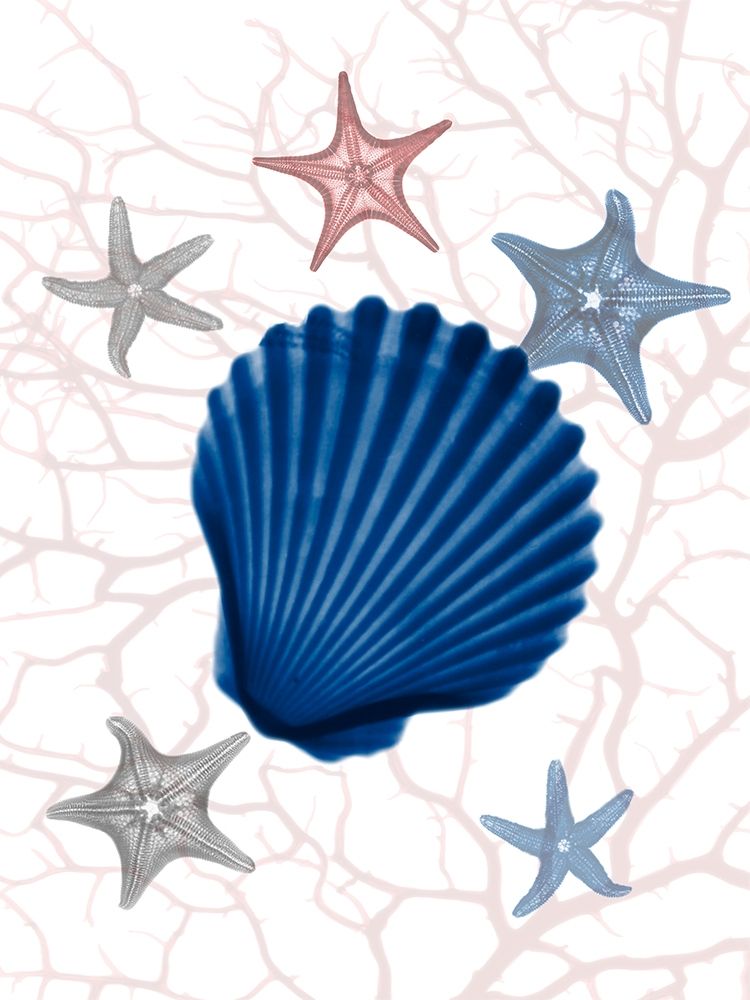 Nautical Splendor 2 art print by Albert Koetsier for $57.95 CAD