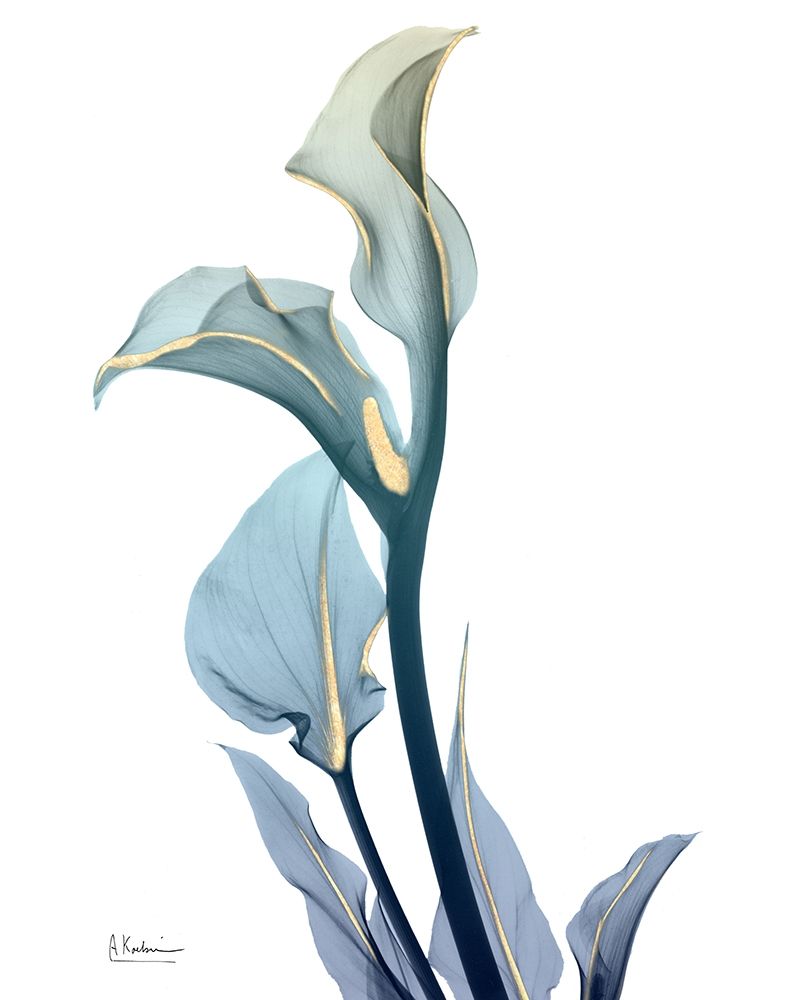 Gold Sprinkled Calla Lily art print by Albert Koetsier for $57.95 CAD