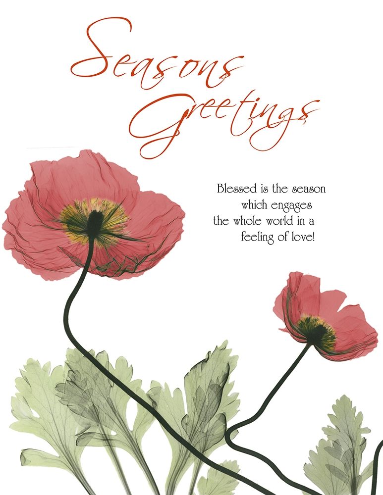 Holiday Poppies 1 art print by Albert Koetsier for $57.95 CAD