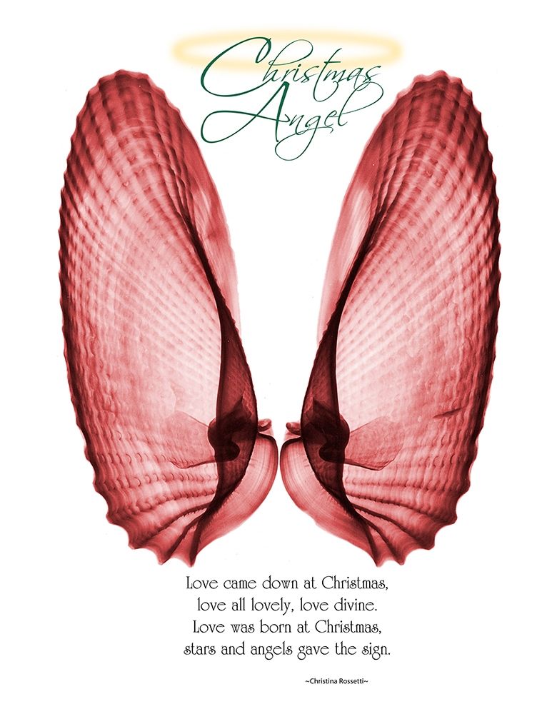 Christmas Wings 1 art print by Albert Koetsier for $57.95 CAD