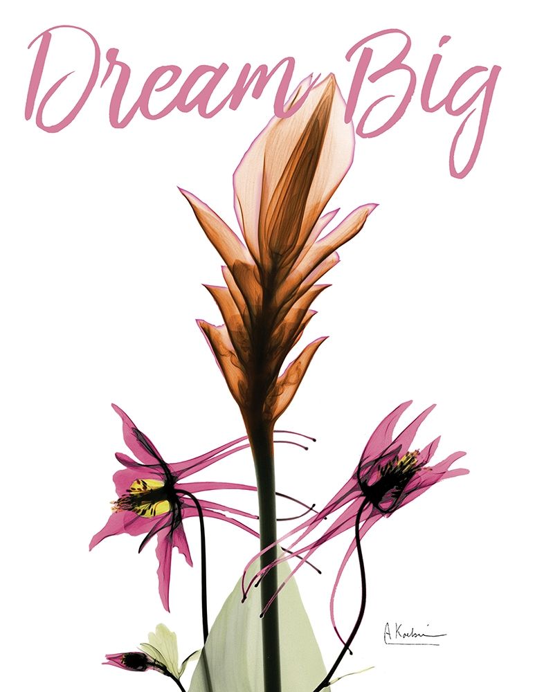 Dream Big Floral art print by Albert Koetsier for $57.95 CAD