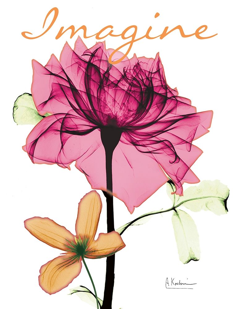 Imaginative Floral art print by Albert Koetsier for $57.95 CAD