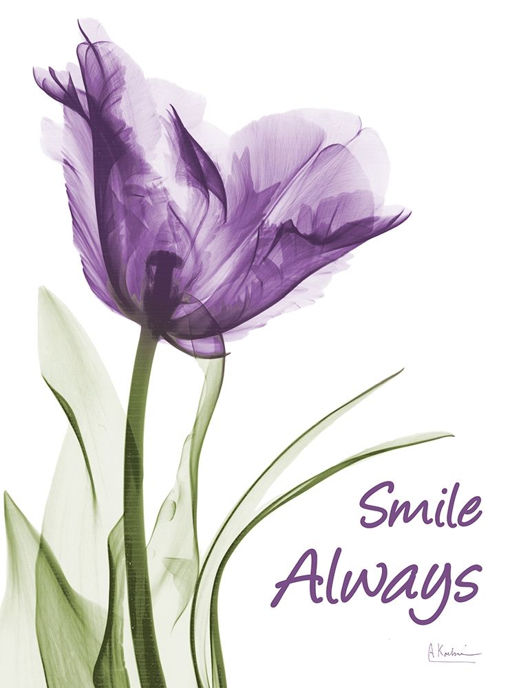 Smile Smiling Tulip art print by Albert Koetsier for $57.95 CAD