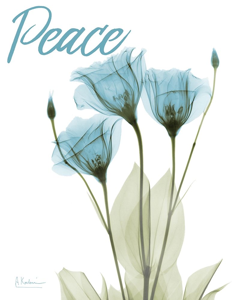 Peaceful Gentian art print by Albert Koetsier for $57.95 CAD