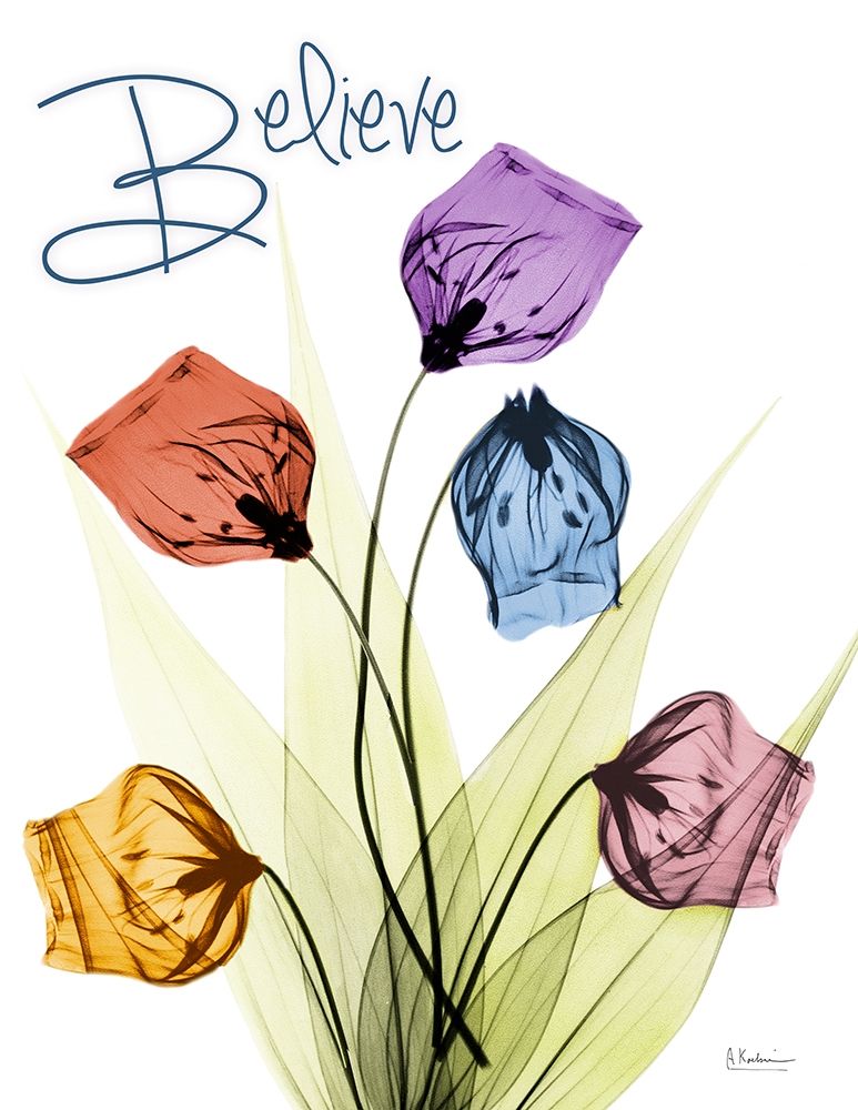 Believing Sandersonia art print by Albert Koetsier for $57.95 CAD