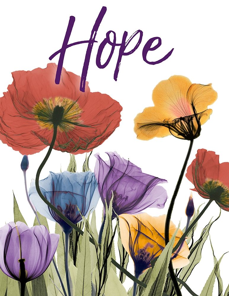 Hopeful Flowerscape art print by Albert Koetsier for $57.95 CAD