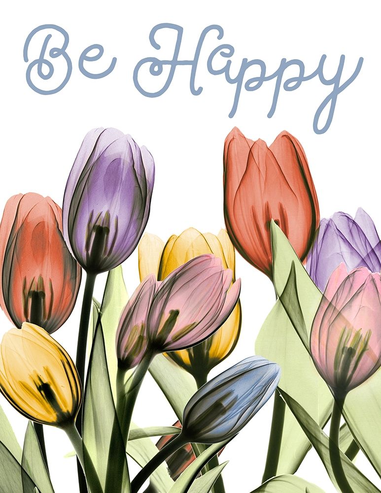 Happy Tulipscape art print by Albert Koetsier for $57.95 CAD