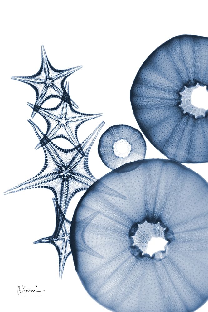 Indigo Aquatic Universe 1 art print by Albert Koetsier for $57.95 CAD