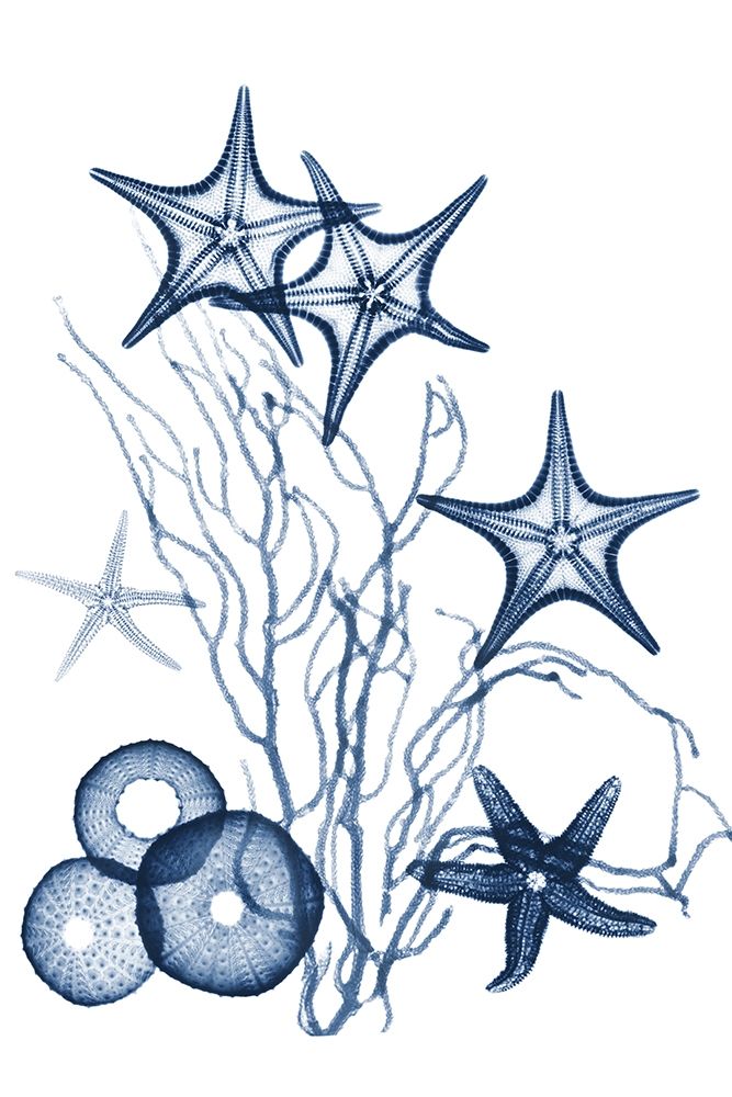 Indigo Aquatic Universe 2 art print by Albert Koetsier for $57.95 CAD