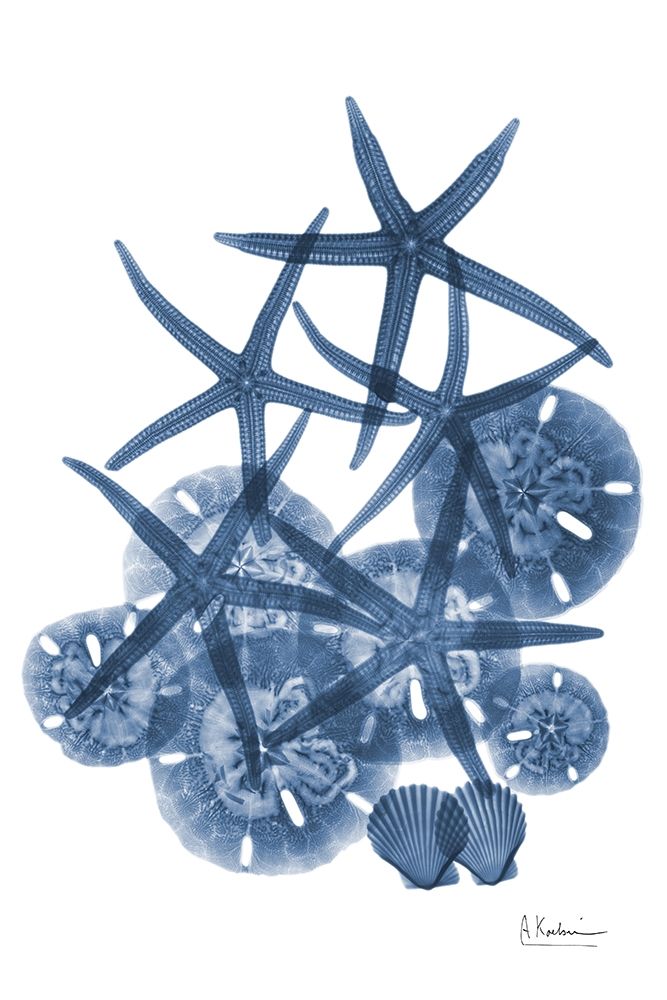 Indigo Aquatic Universe 3 art print by Albert Koetsier for $57.95 CAD