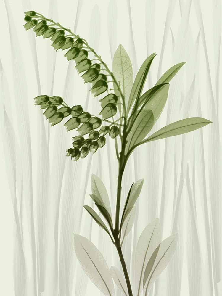 Radiant Greens 1 art print by Albert Koetsier for $57.95 CAD