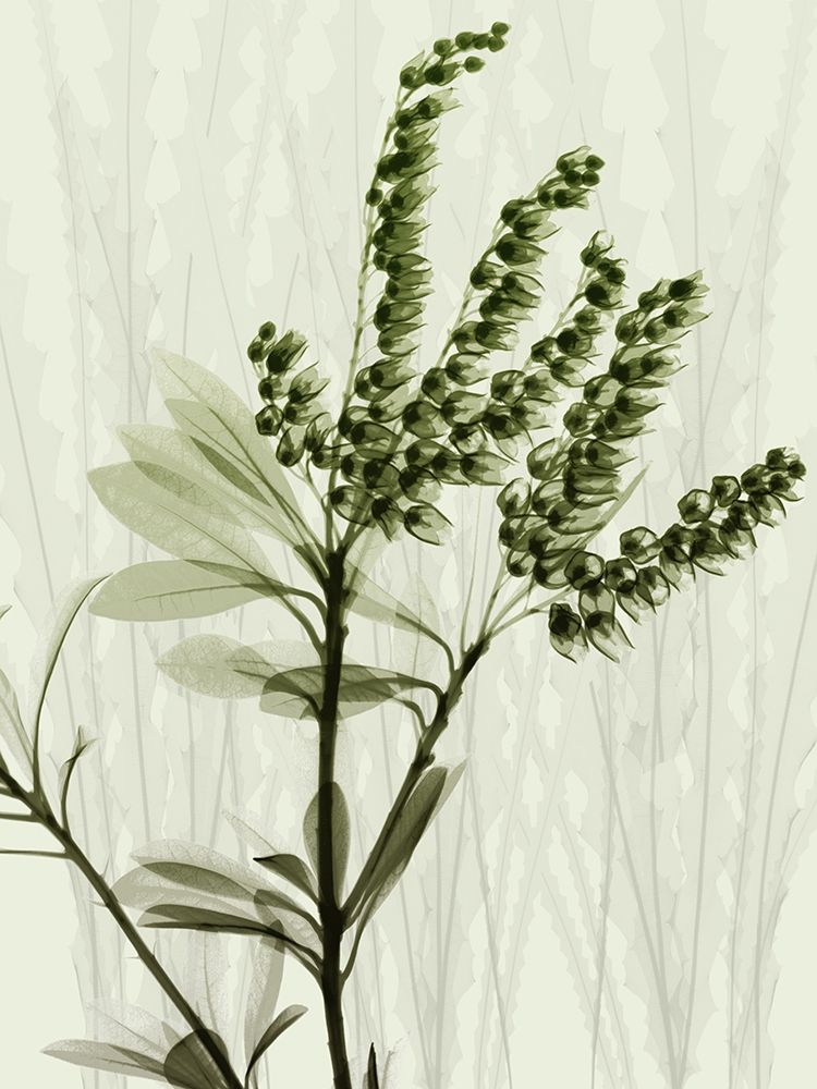 Radiant Greens 2 art print by Albert Koetsier for $57.95 CAD