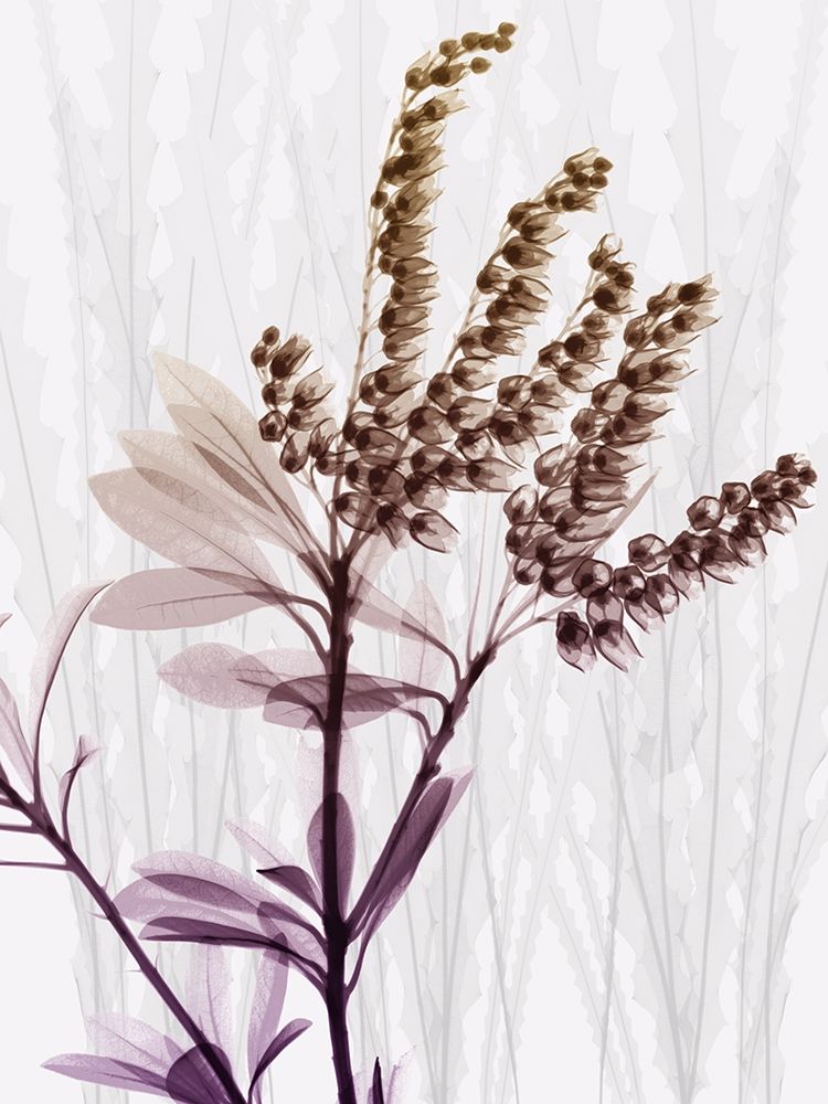 Radiant Snowdrops 2 art print by Albert Koetsier for $57.95 CAD