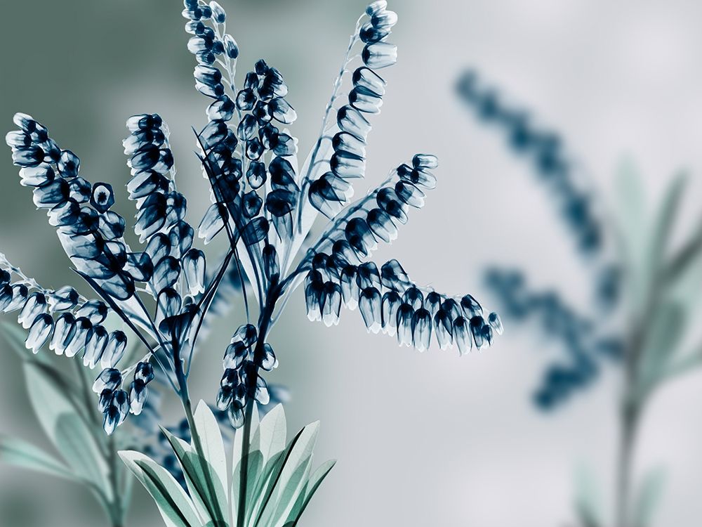 Unfocused Visions 1 art print by Albert Koetsier for $57.95 CAD