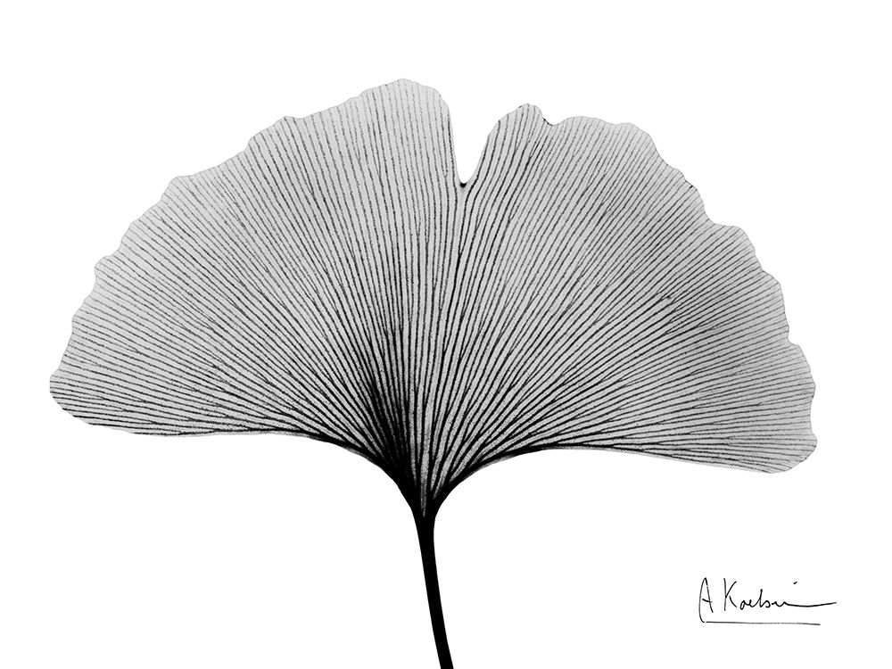 Inverted Ginko 1 art print by Albert Koetsier for $57.95 CAD