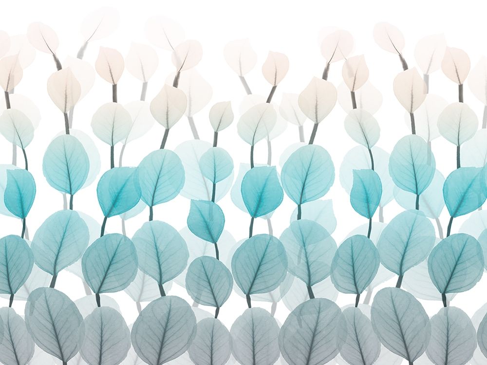 Spring Skyward 1 art print by Albert Koetsier for $57.95 CAD