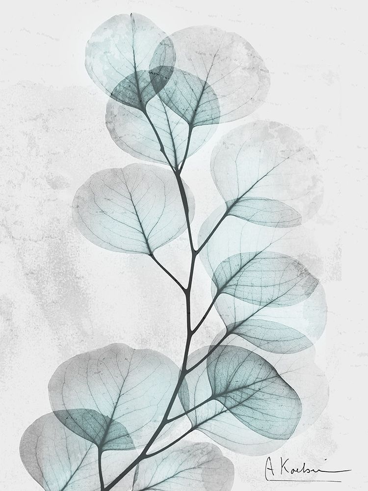 Eucalyptus Glow 3 art print by Albert Koetsier for $57.95 CAD