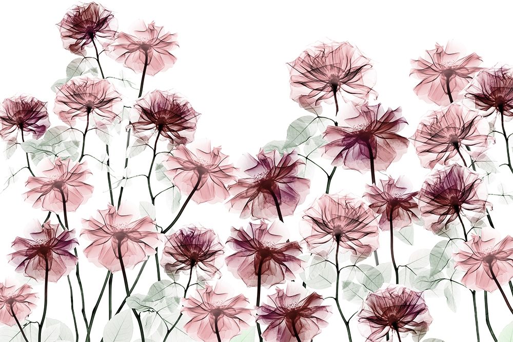 Magnificent Flower Bed 1 art print by Albert Koetsier for $57.95 CAD