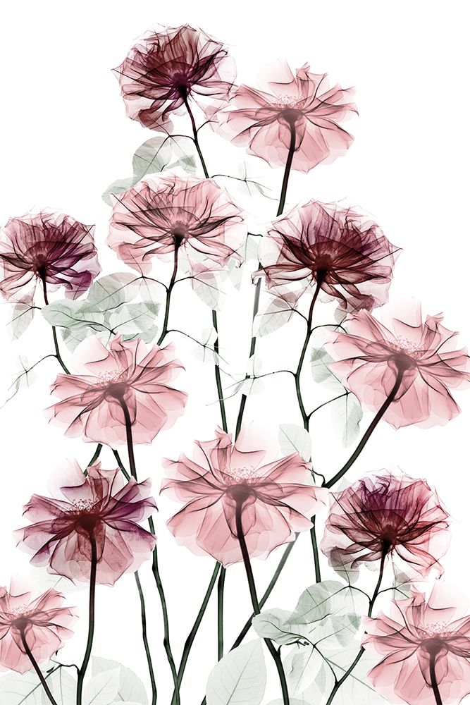 Magnificent Flower Bed 2 art print by Albert Koetsier for $57.95 CAD