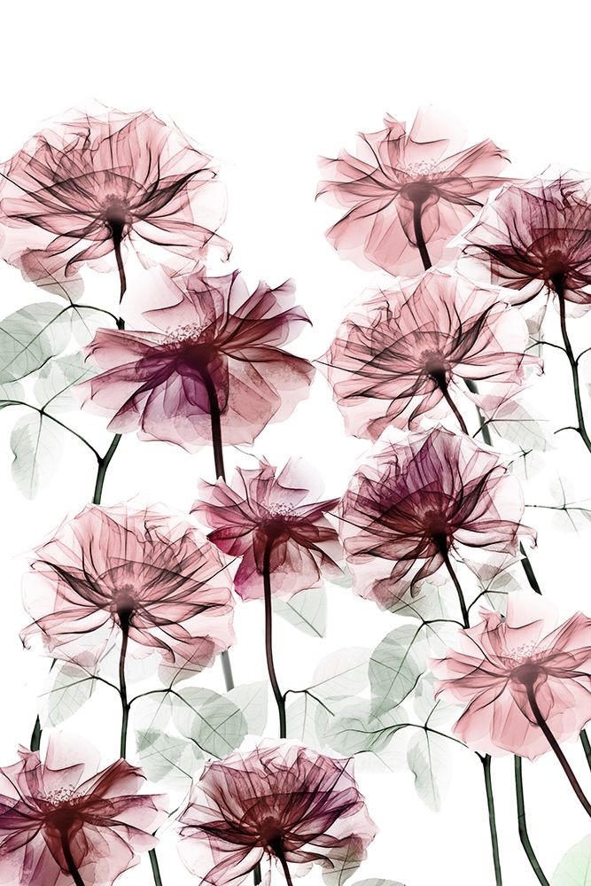 Magnificent Flower Bed 3 art print by Albert Koetsier for $57.95 CAD