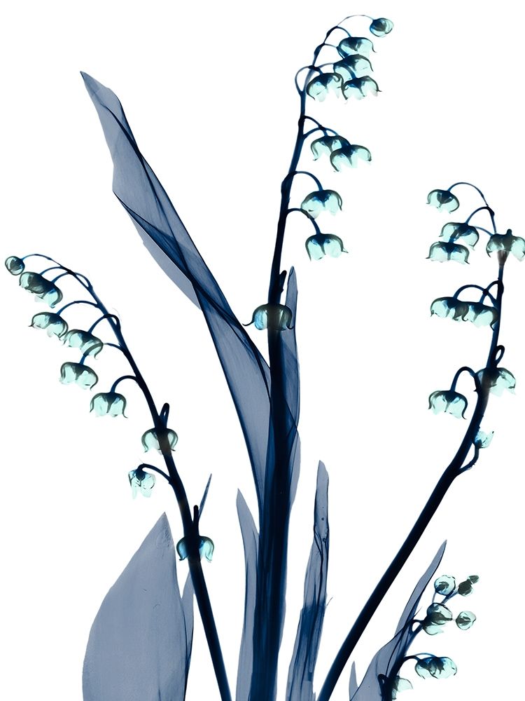 Midnight Oasis 1 art print by Albert Koetsier for $57.95 CAD