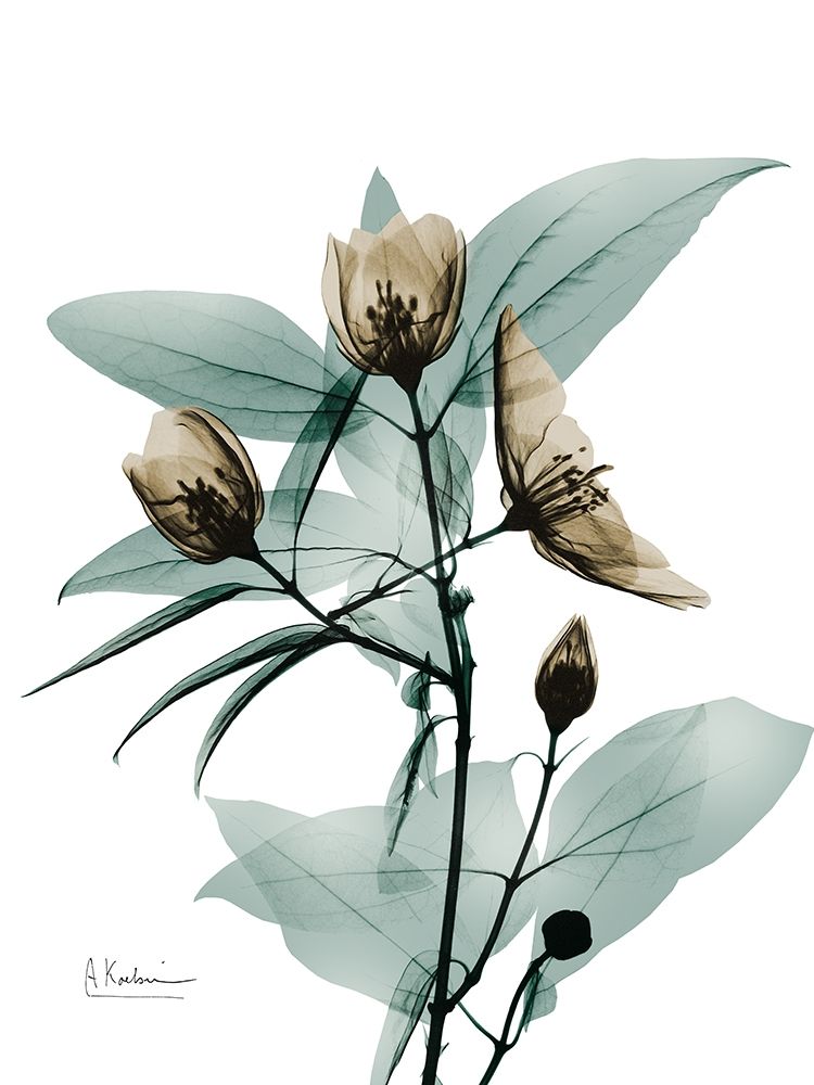 Sandy Growth 1 art print by Albert Koetsier for $57.95 CAD