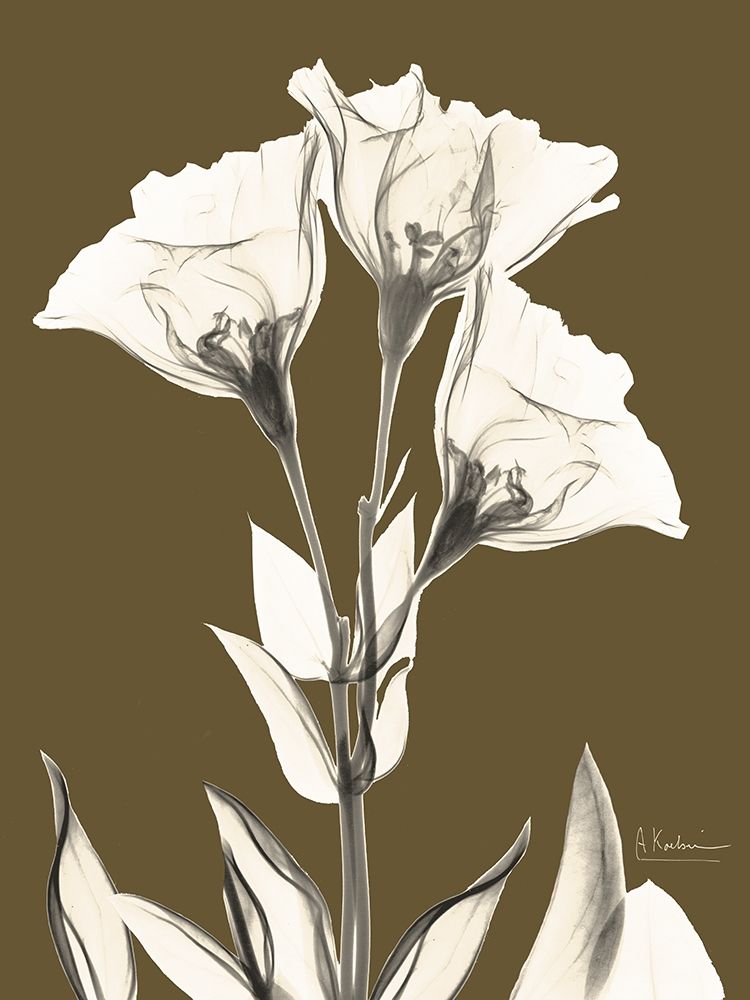 Gentian Fall art print by Albert Koetsier for $57.95 CAD