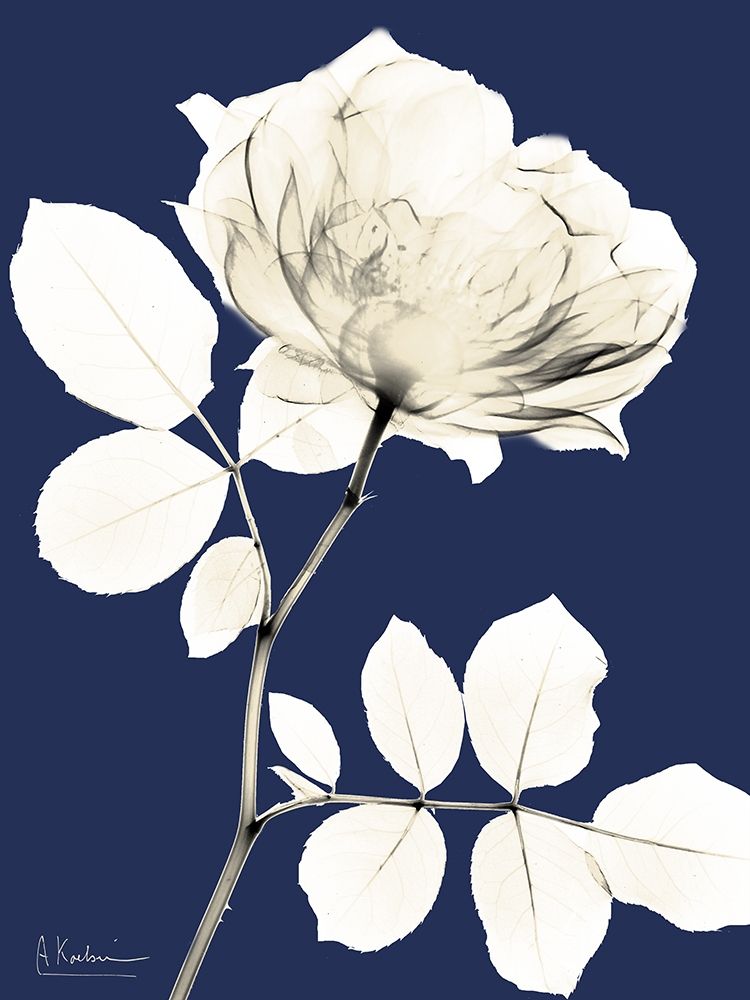 Rose Cool Dynasty 1 art print by Albert Koetsier for $57.95 CAD