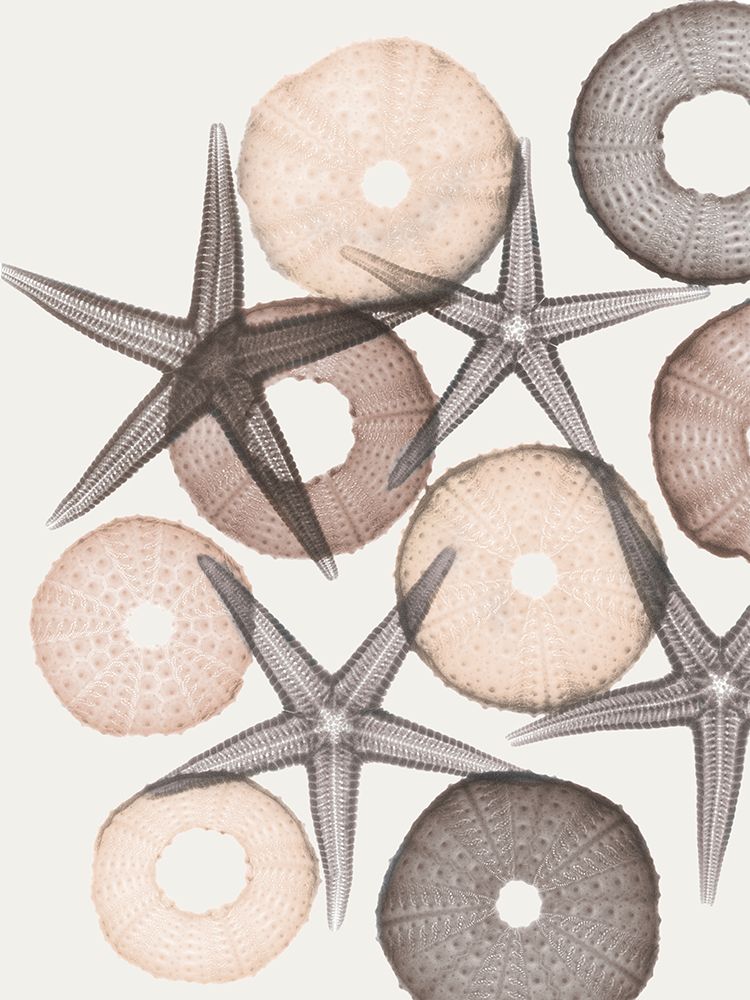 Earth Toned Pythagoras 2 art print by Albert Koetsier for $57.95 CAD