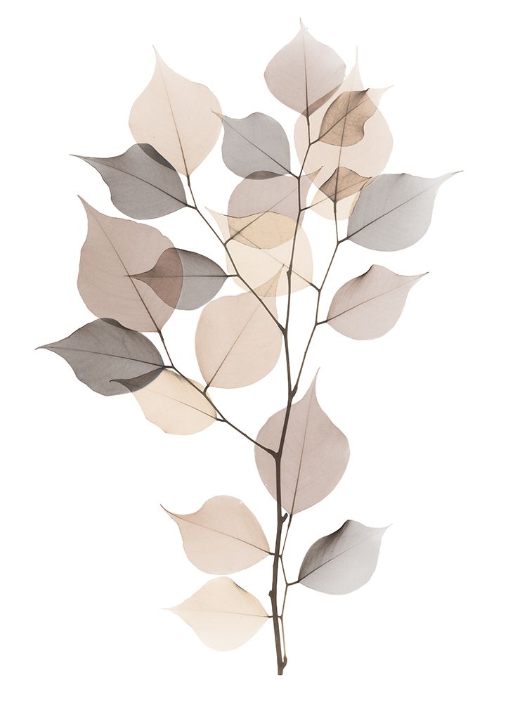 Sandy Myrtle Tree art print by Albert Koetsier for $57.95 CAD