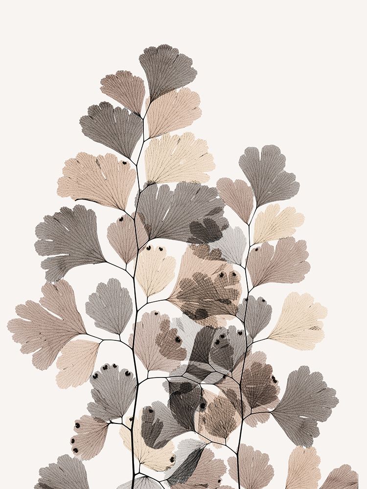 Earthy Maidenhair Fern art print by Albert Koetsier for $57.95 CAD